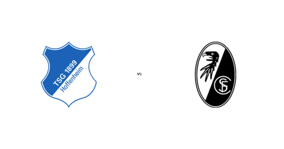 الدوري الألماني: موعد مواجهة هوفنهايم ضد فرايبورج 14 فبراير 2026 والتشكيل المتوقع