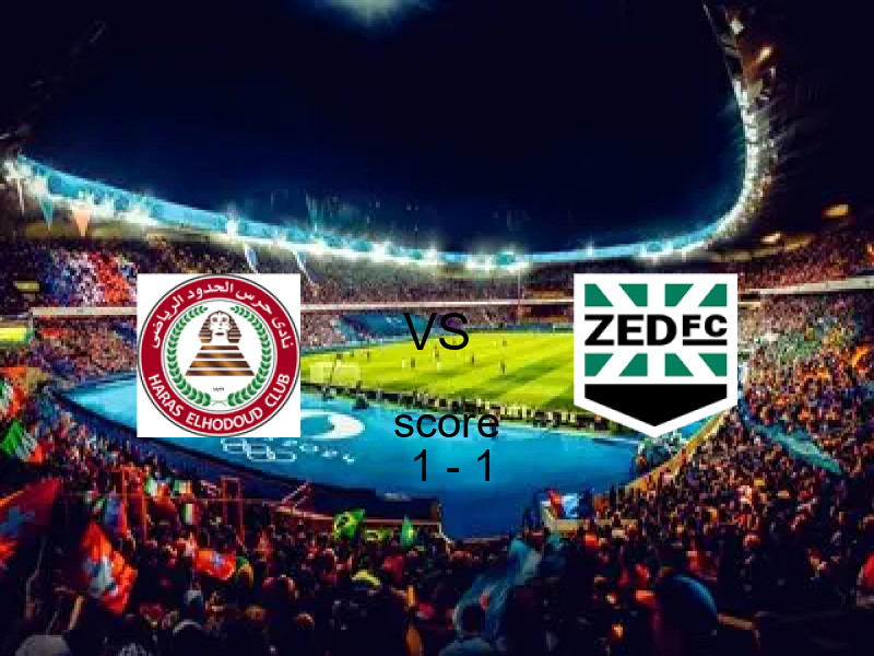 ملخص مباراة الحدود وزد 1 - 1 تعادل | كأس مصر 14 فبراير 2026