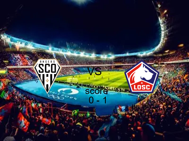 نتيجة أنجيه وليل في الدوري الفرنسي 22 فبراير 2026 - فوز ليل بنتيجة 0 - 1