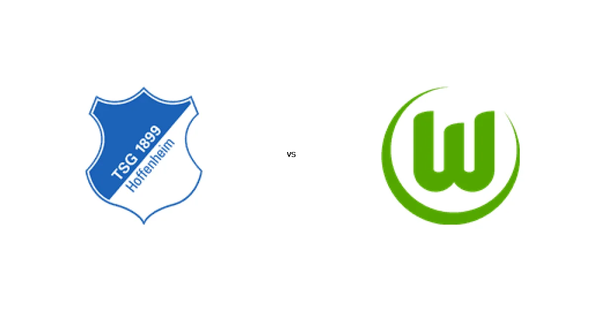 تفاصيل مباراة هوفنهايم ضد فولفسبورج في الدوري الألماني والمعلق