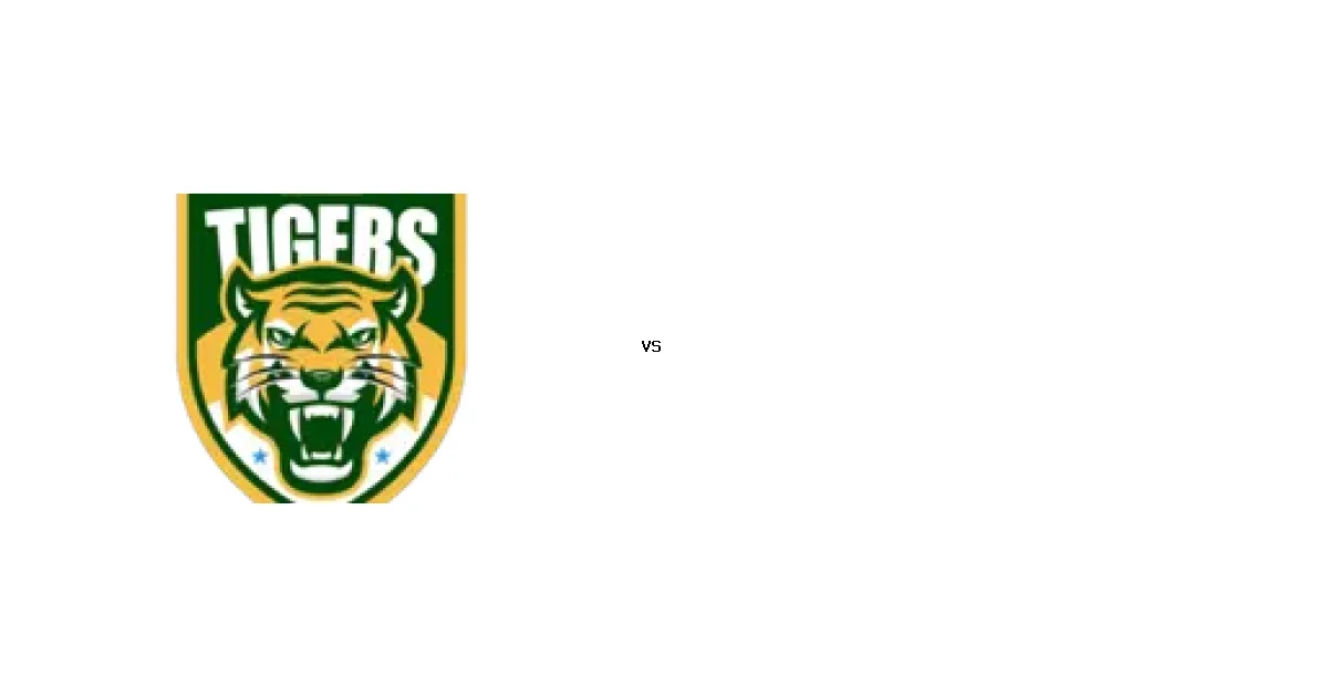 تايجرز ضد دار في قمة الدوري الأفريقي لكرة السلة - التوقيت والقنوات 04 أبريل 2026