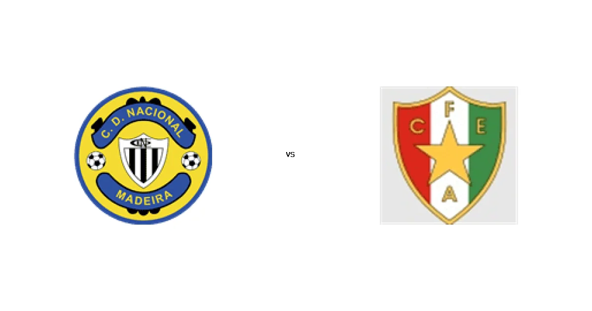 الدوري البرتغالي: موعد مواجهة ماديرا ضد إستريلا 04 أبريل 2026 والتشكيل المتوقع